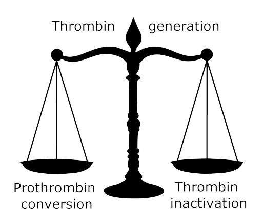 thrombin_generation